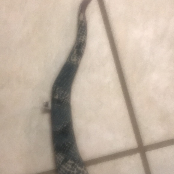 Faux Snake - Picture 8 of 12